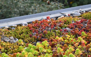 the cost of Halsham green roof installation