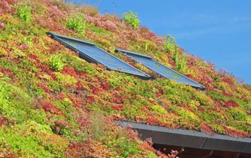Halsham living roof systems