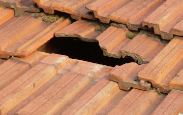 roof repair Halsham, East Riding Of Yorkshire