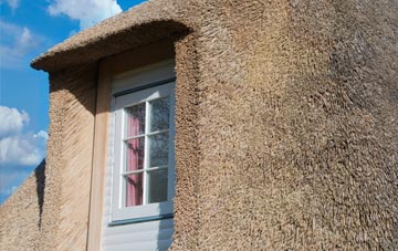 Halsham thatch roof disadvantages