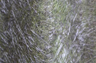 Halsham fibreglass roof work